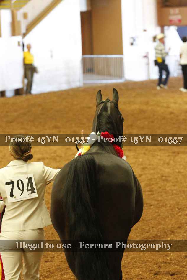 Proof 15YN_01557