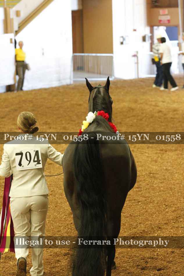 Proof 15YN_01558