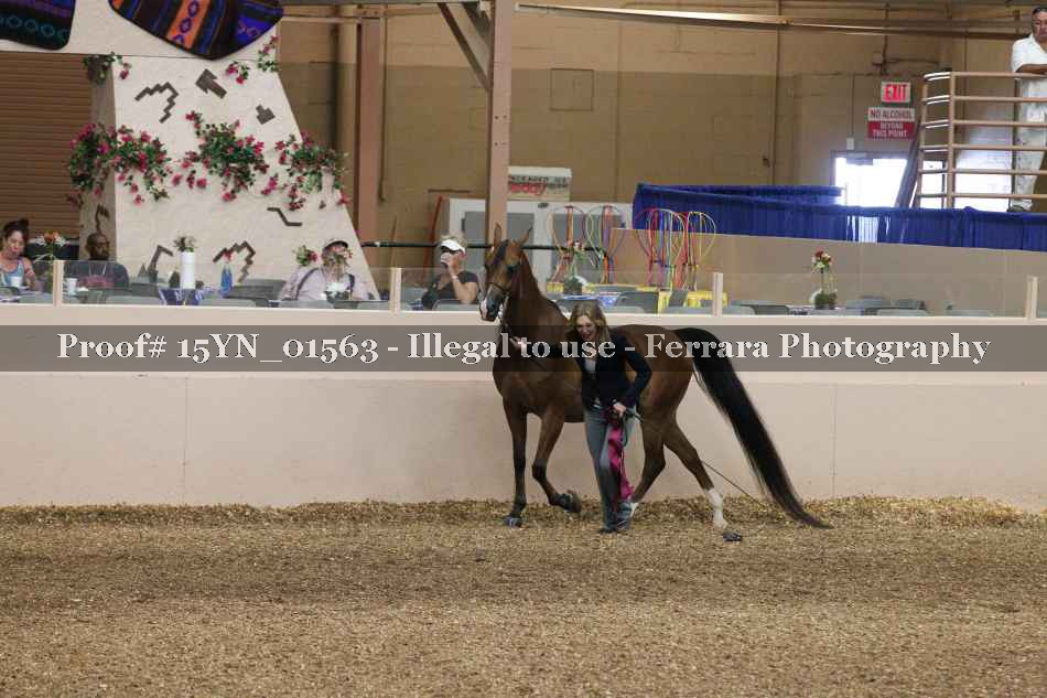 Proof 15YN_01563