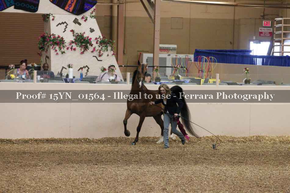 Proof 15YN_01564