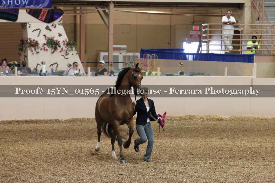 Proof 15YN_01565