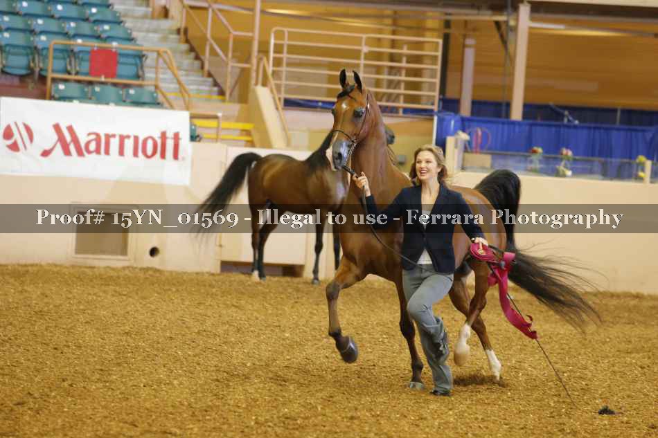 Proof 15YN_01569