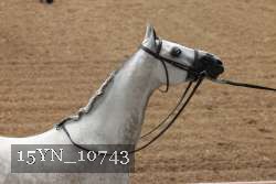 15YN_10743 proof
