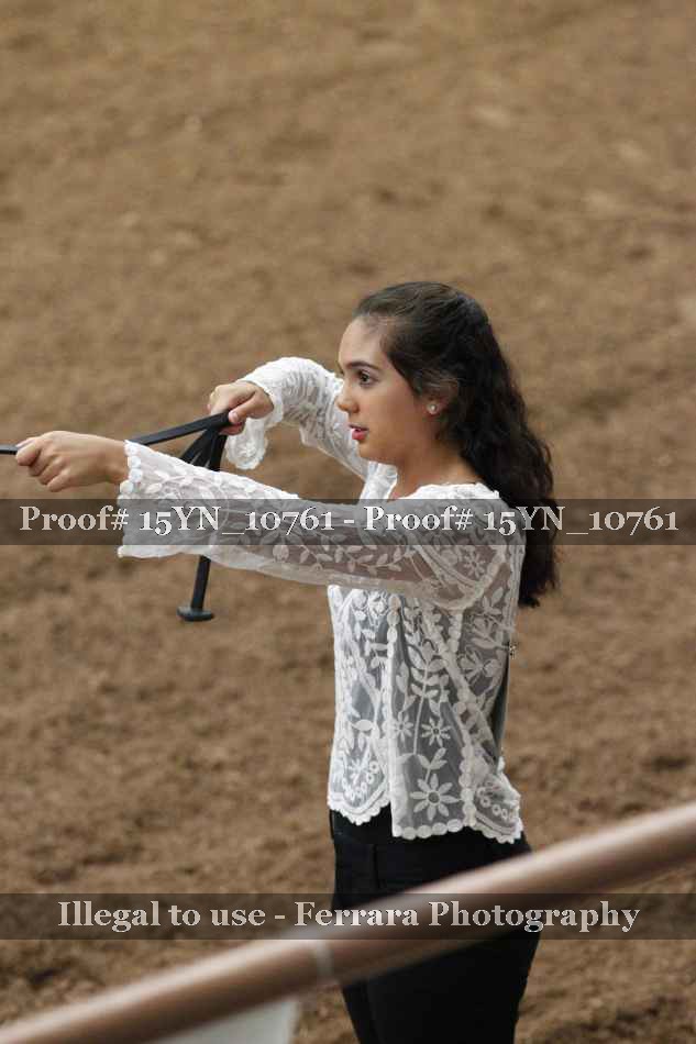 Proof 15YN_10761