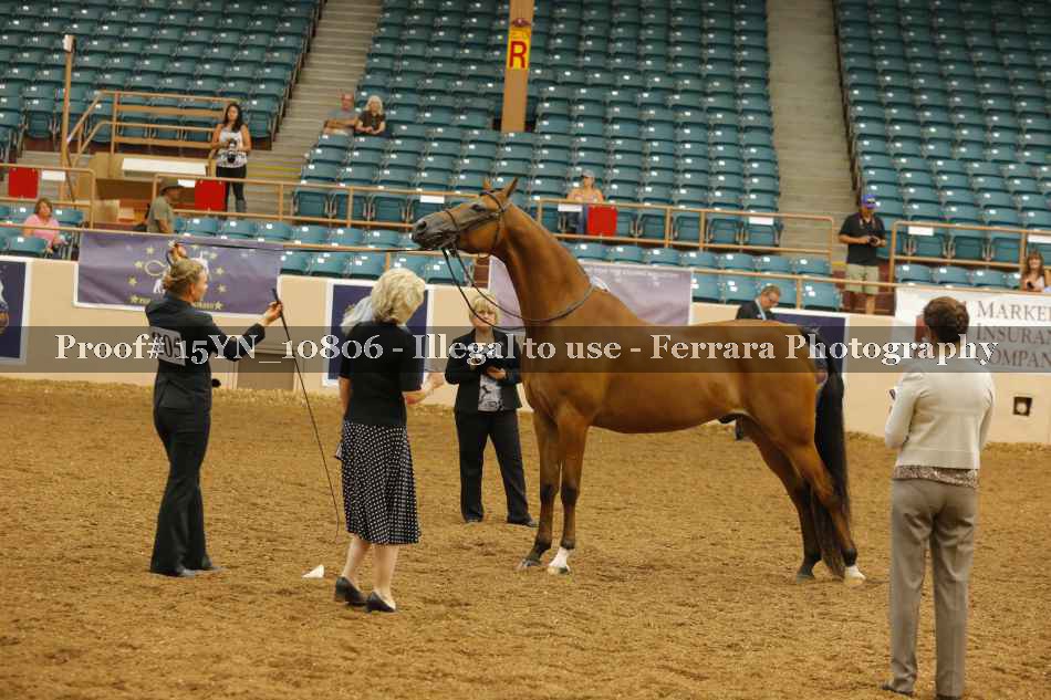 Proof 15YN_10806