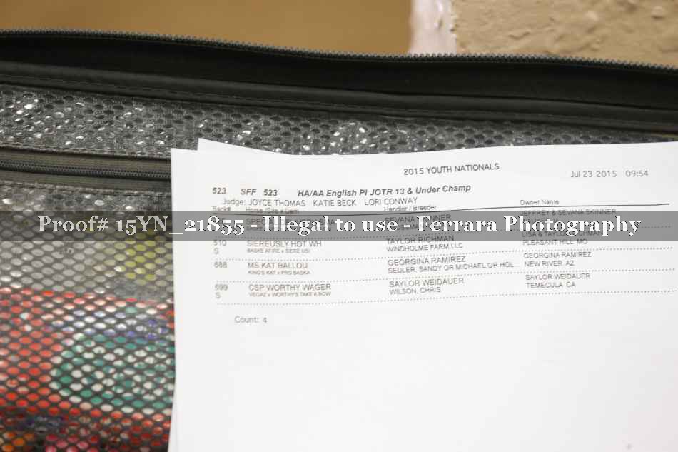 Proof 15YN_21855