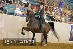 15YN_21872 proof