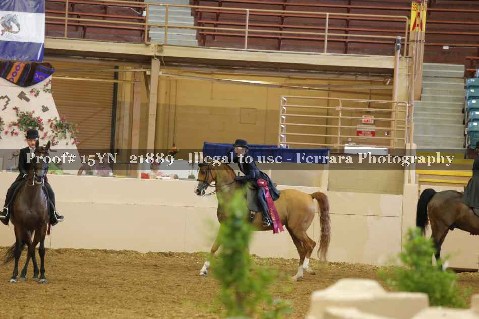 Proof 15YN_21889