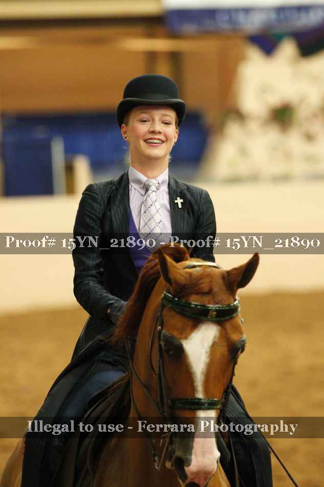 Proof 15YN_21890