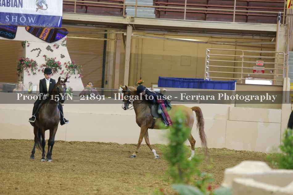Proof 15YN_21891