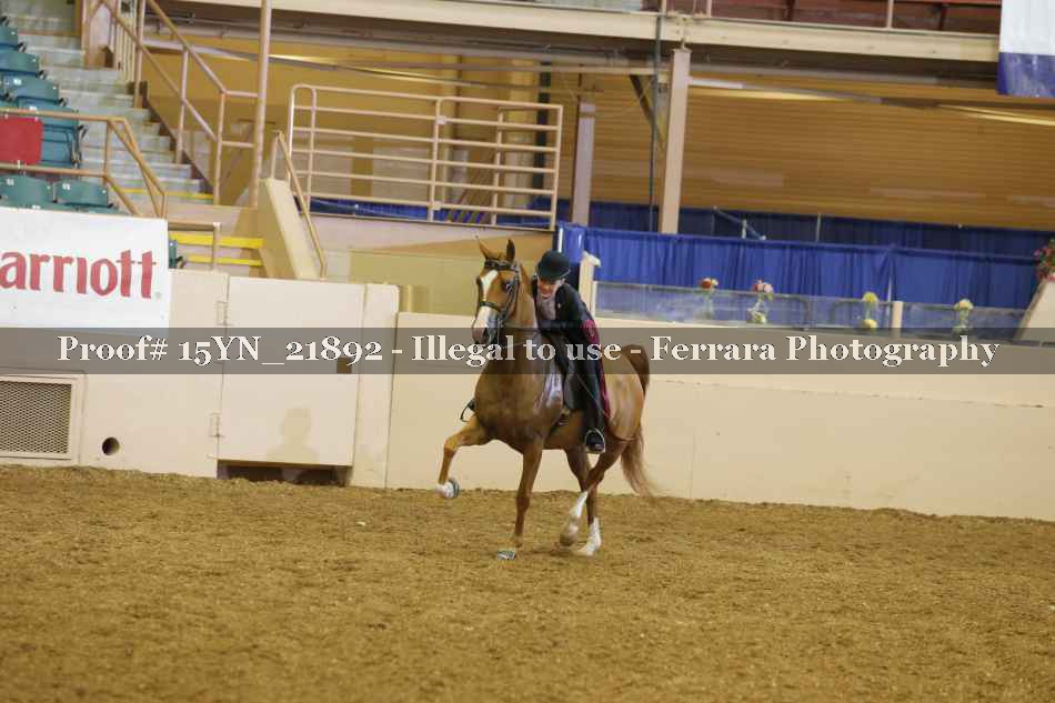 Proof 15YN_21892