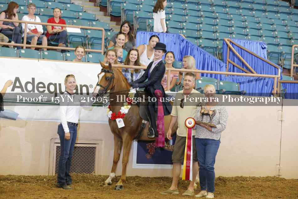 Proof 15YN_21905