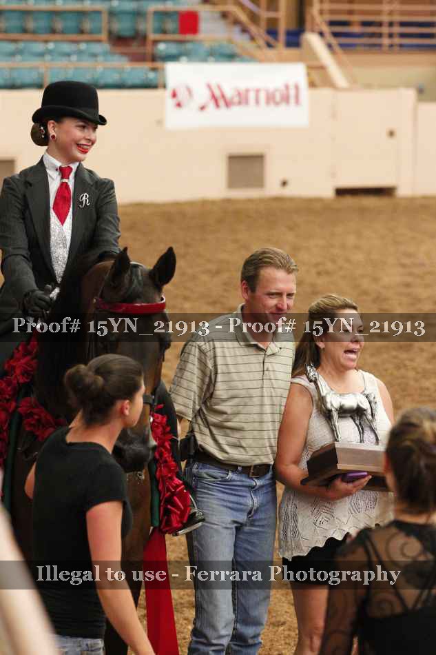 Proof 15YN_21913