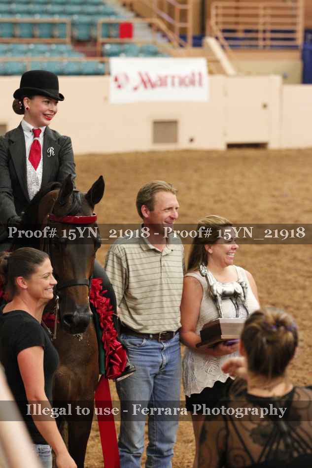 Proof 15YN_21918
