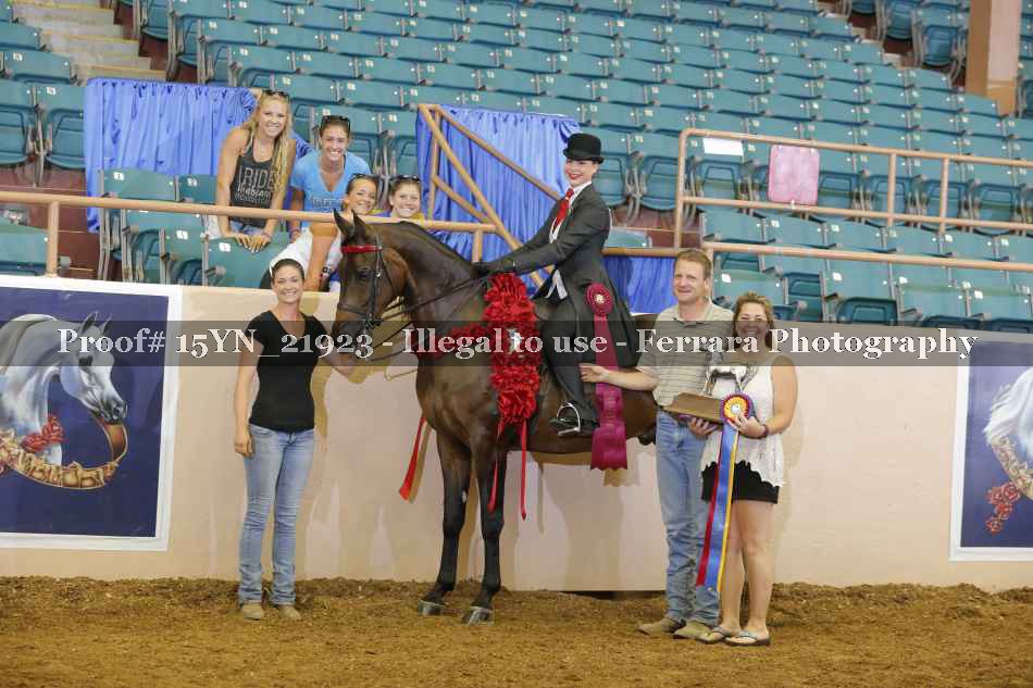 Proof 15YN_21923