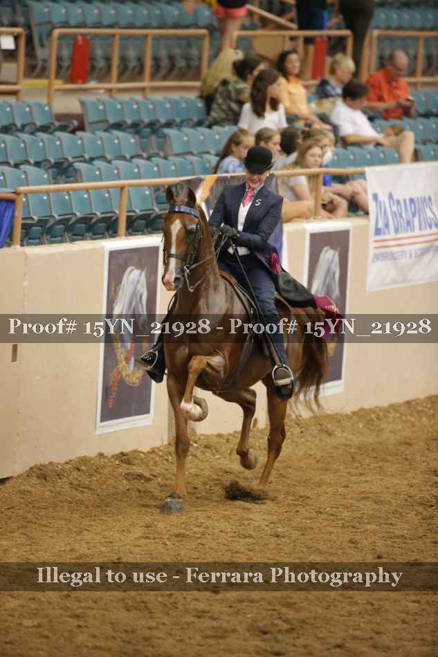 Proof 15YN_21928