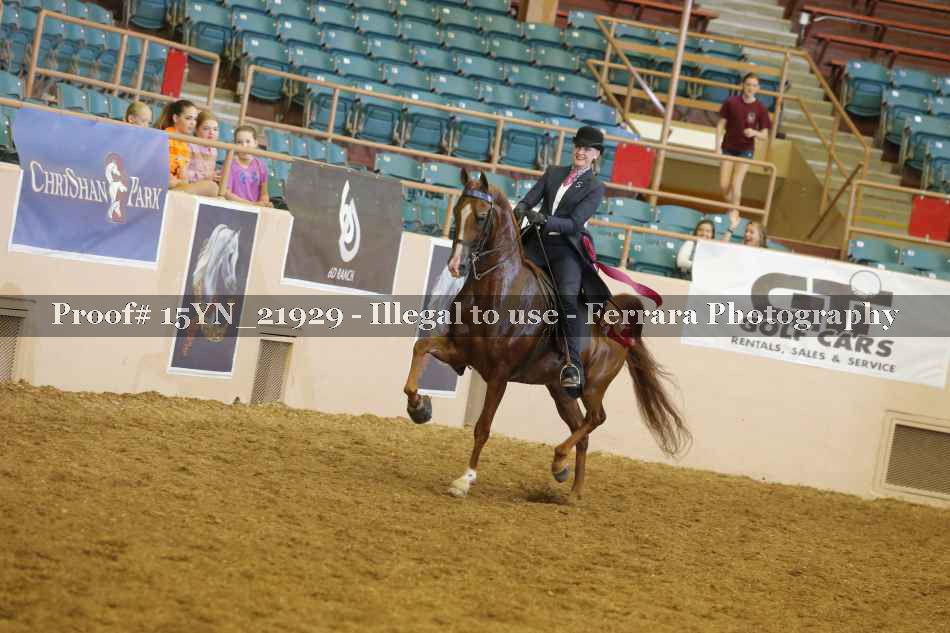 Proof 15YN_21929