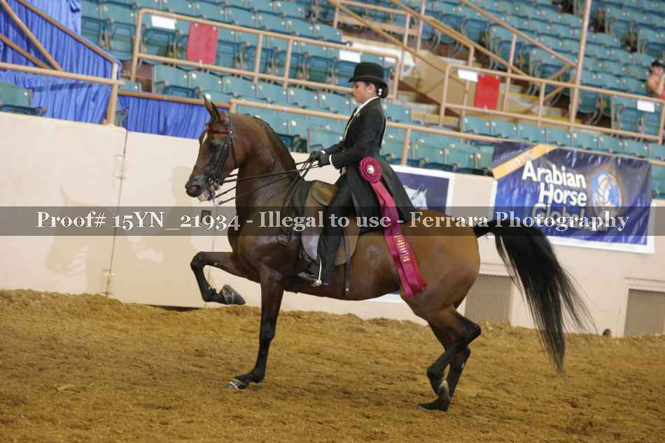 Proof 15YN_21934