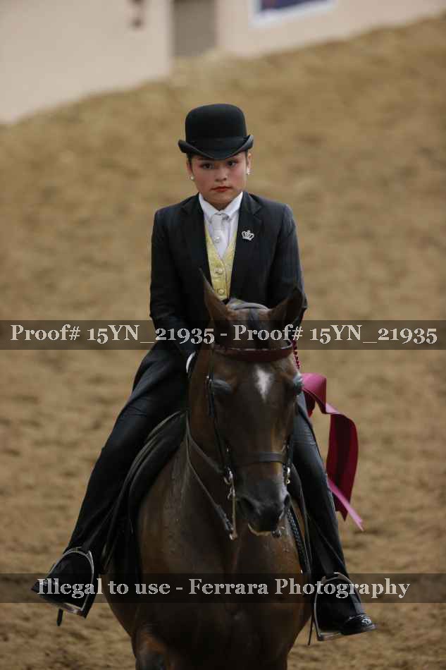 Proof 15YN_21935