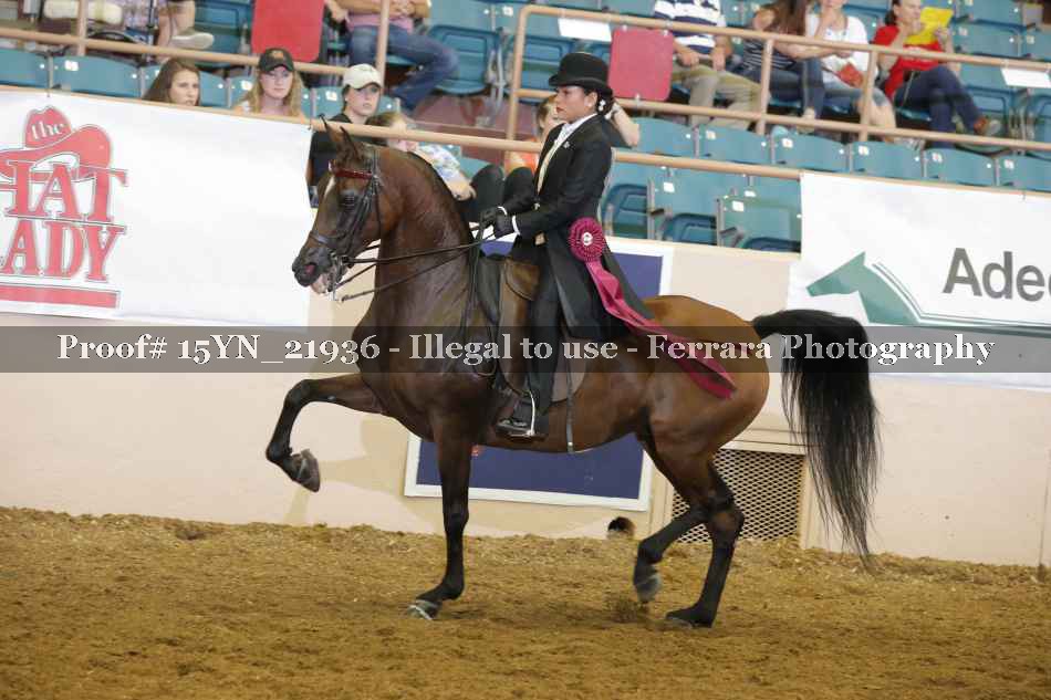 Proof 15YN_21936