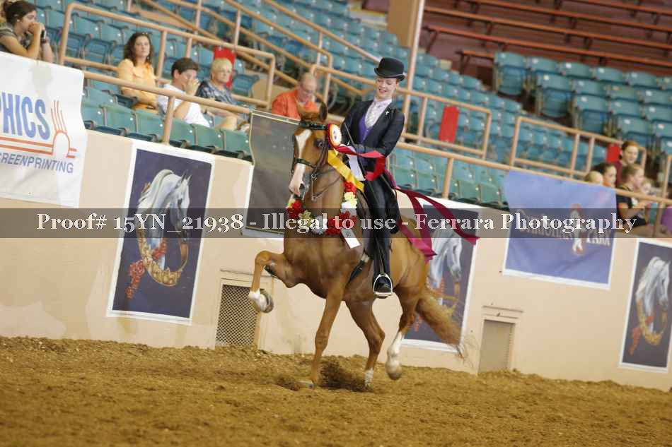 Proof 15YN_21938