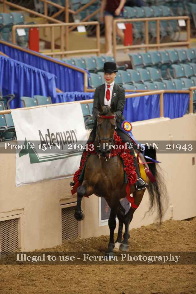 Proof 15YN_21943