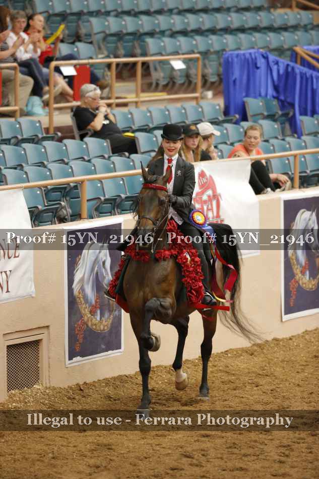 Proof 15YN_21946