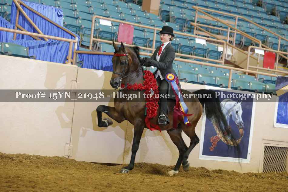 Proof 15YN_21948