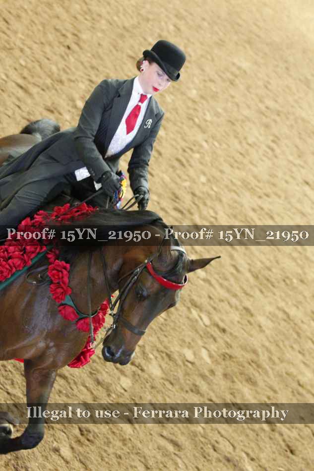 Proof 15YN_21950