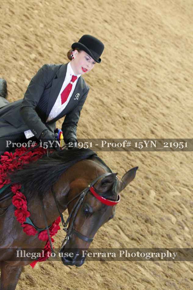 Proof 15YN_21951