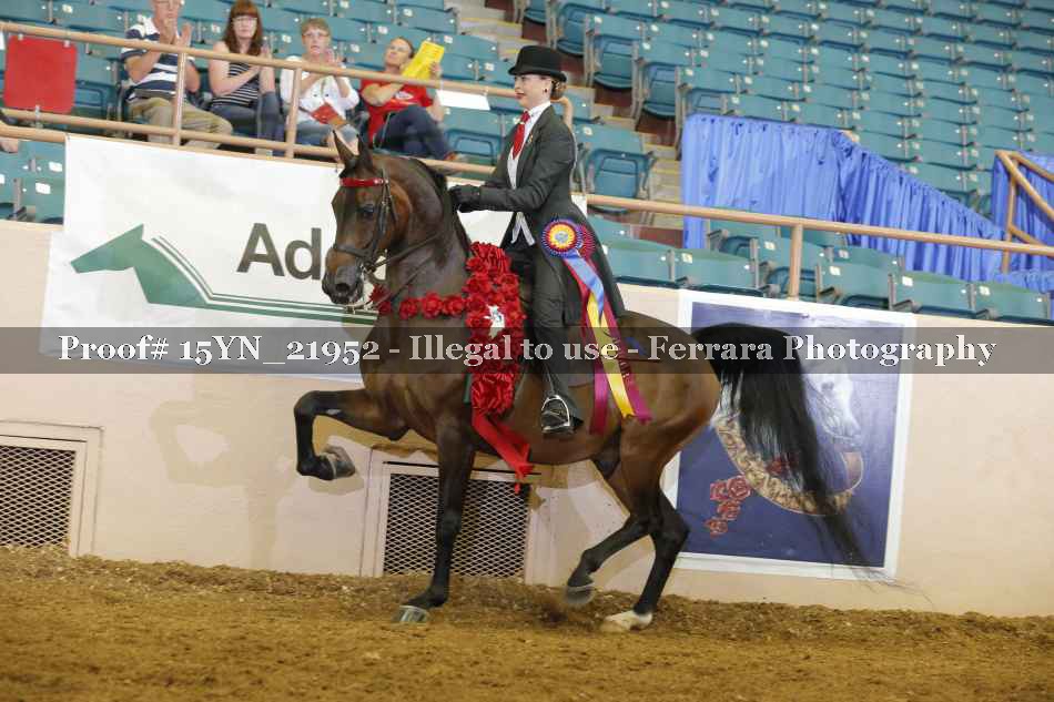 Proof 15YN_21952