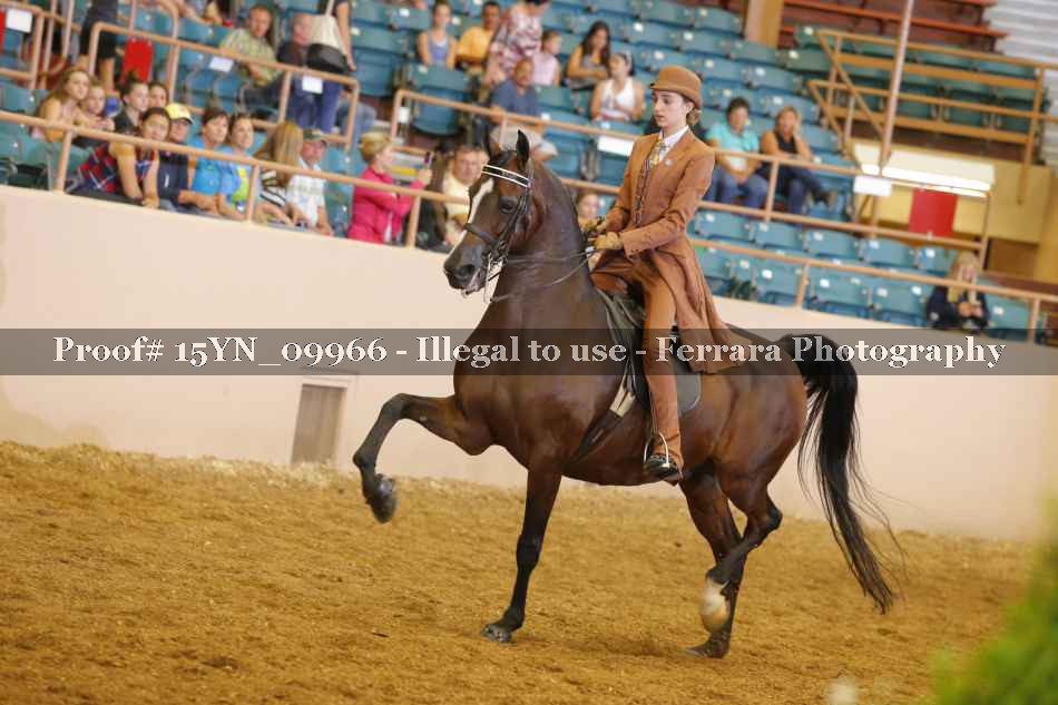 Proof 15YN_09966
