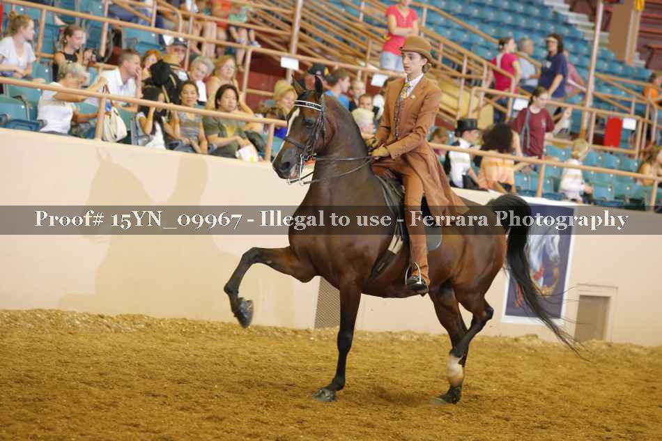 Proof 15YN_09967