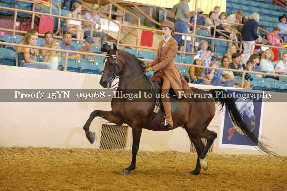Proof 15YN_09968