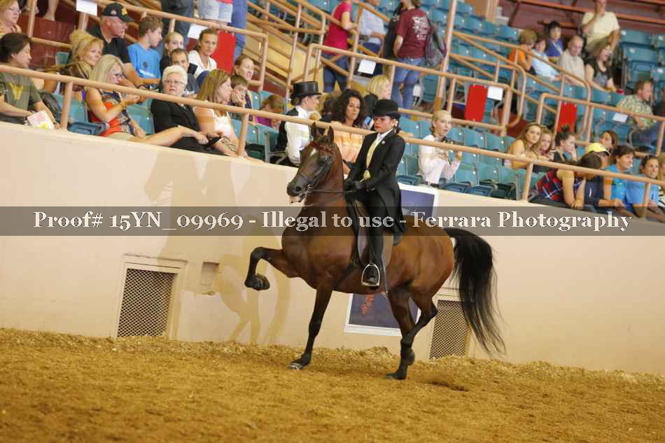 Proof 15YN_09969