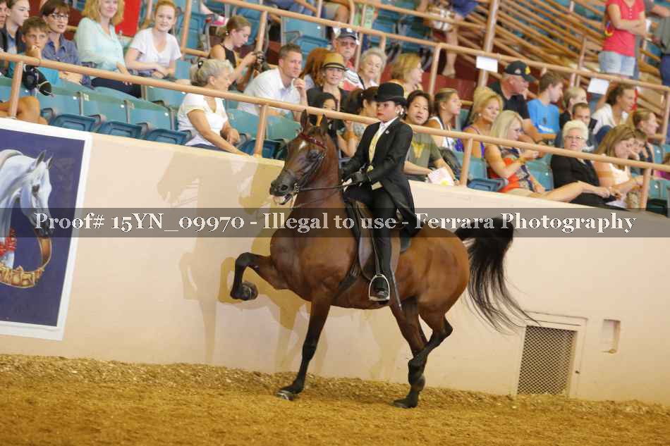 Proof 15YN_09970