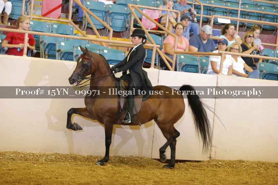 Proof 15YN_09971