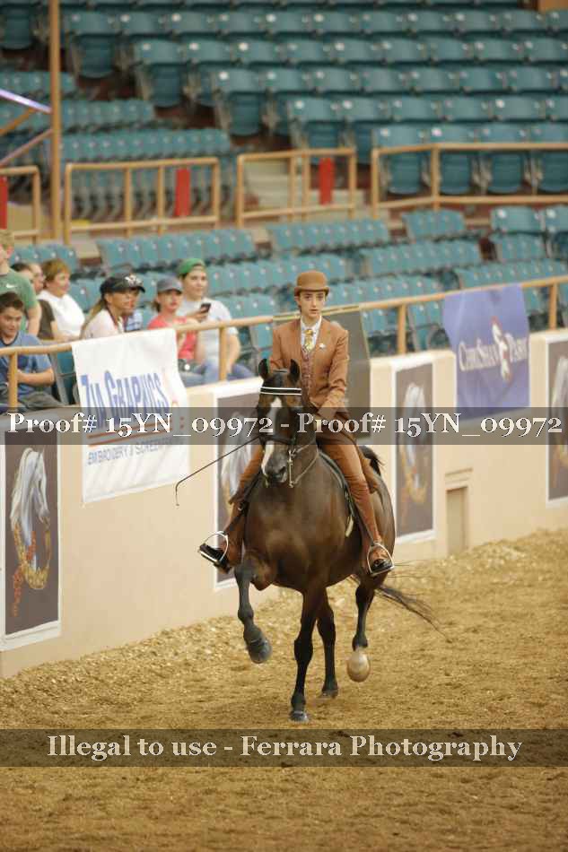 Proof 15YN_09972