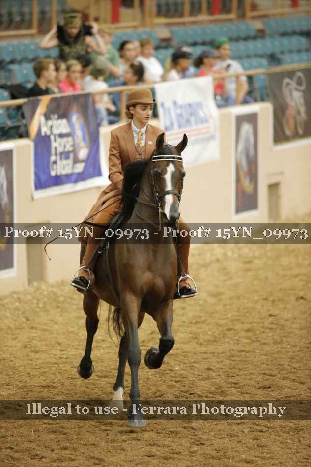 Proof 15YN_09973