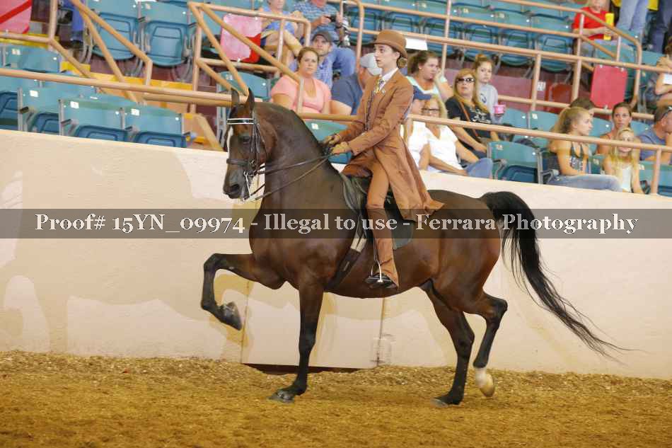 Proof 15YN_09974