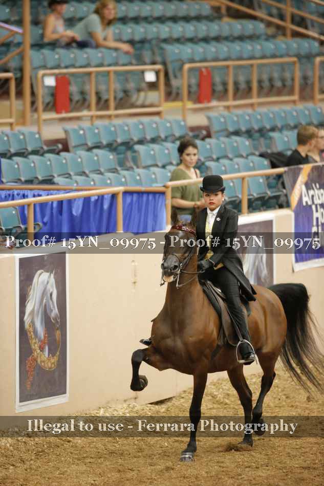 Proof 15YN_09975