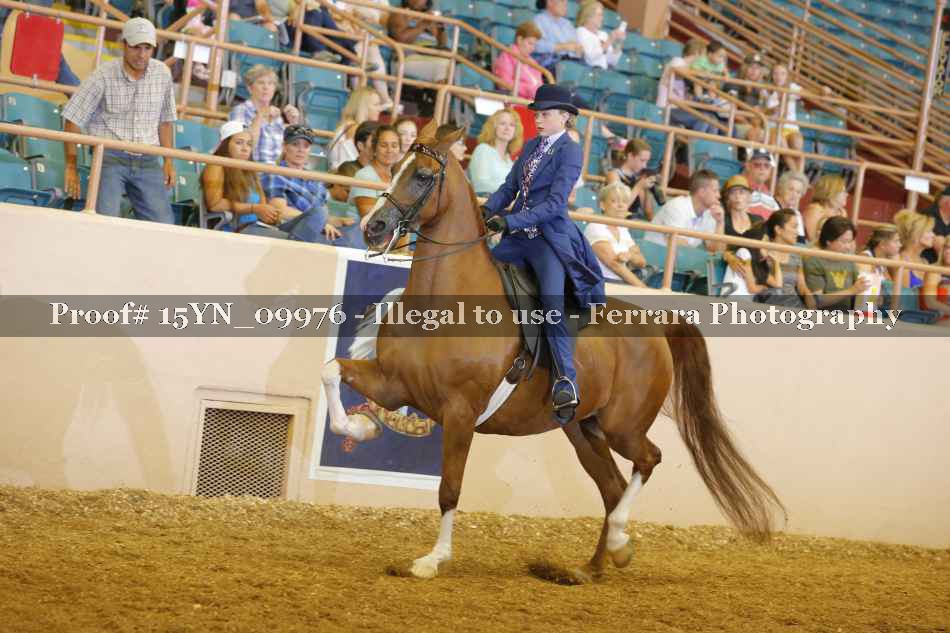 Proof 15YN_09976