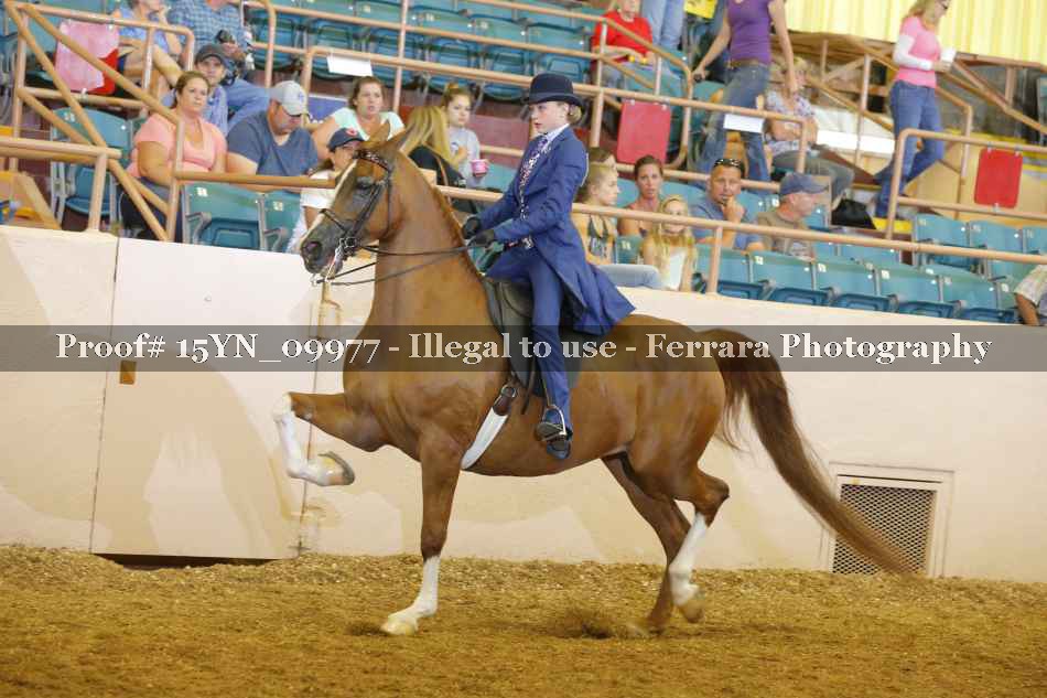 Proof 15YN_09977