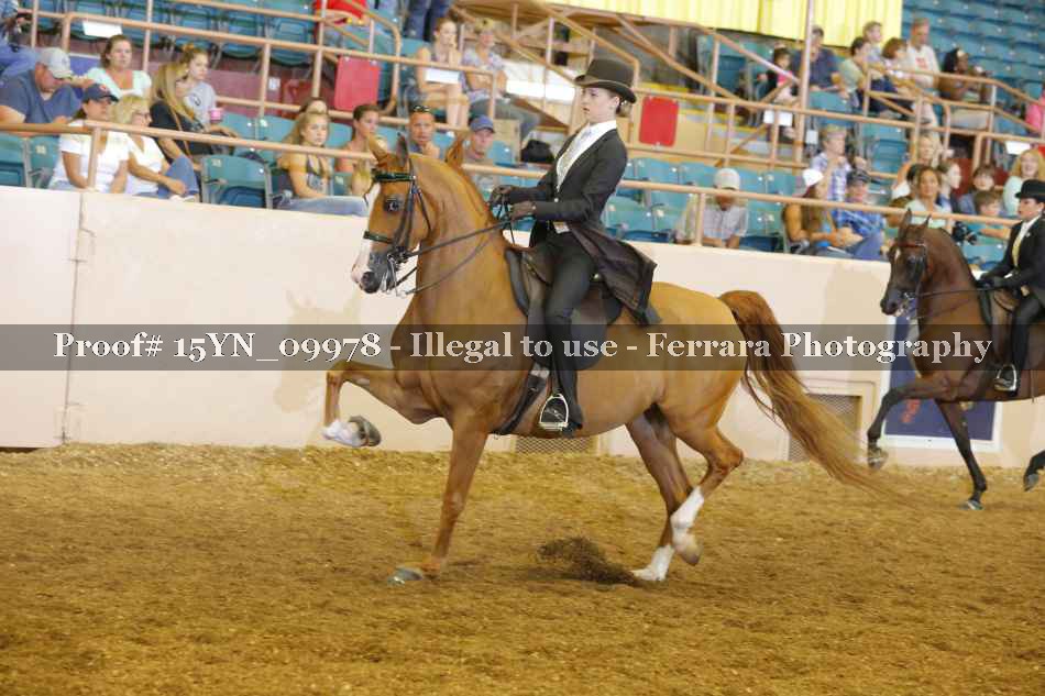 Proof 15YN_09978