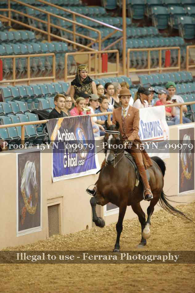 Proof 15YN_09979