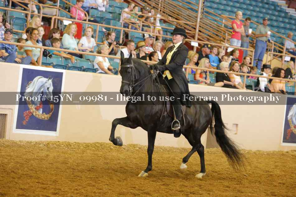 Proof 15YN_09981