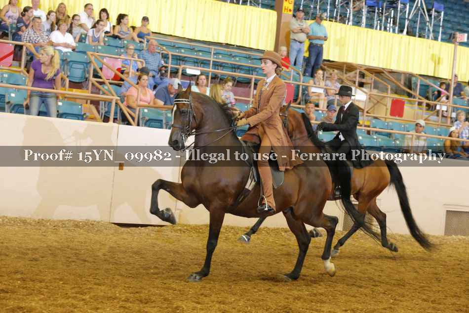 Proof 15YN_09982