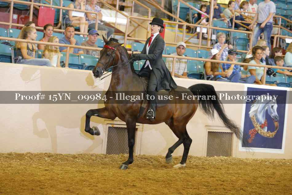 Proof 15YN_09984
