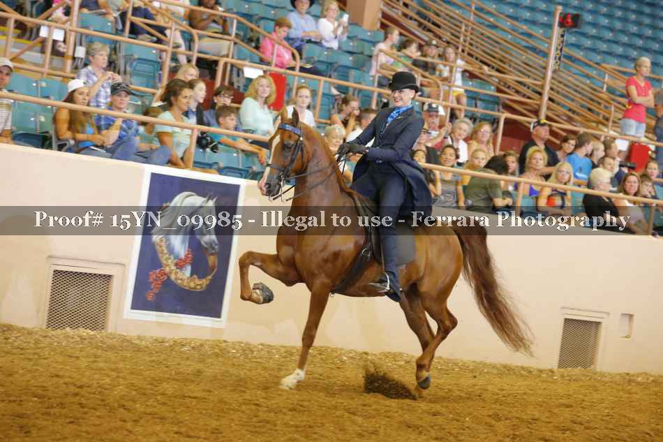 Proof 15YN_09985
