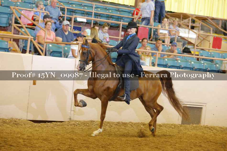 Proof 15YN_09987